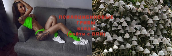 PSILOCYBIN Майский