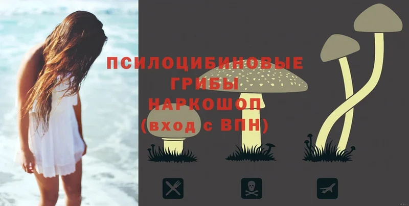 как найти закладки  Серпухов  Псилоцибиновые грибы Psilocybe 