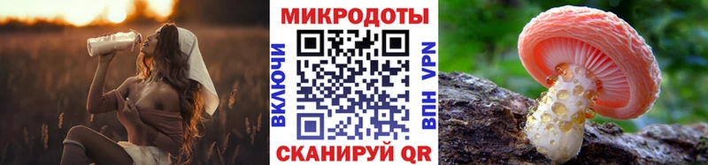 Галлюциногенные грибы Psilocybine cubensis Серпухов