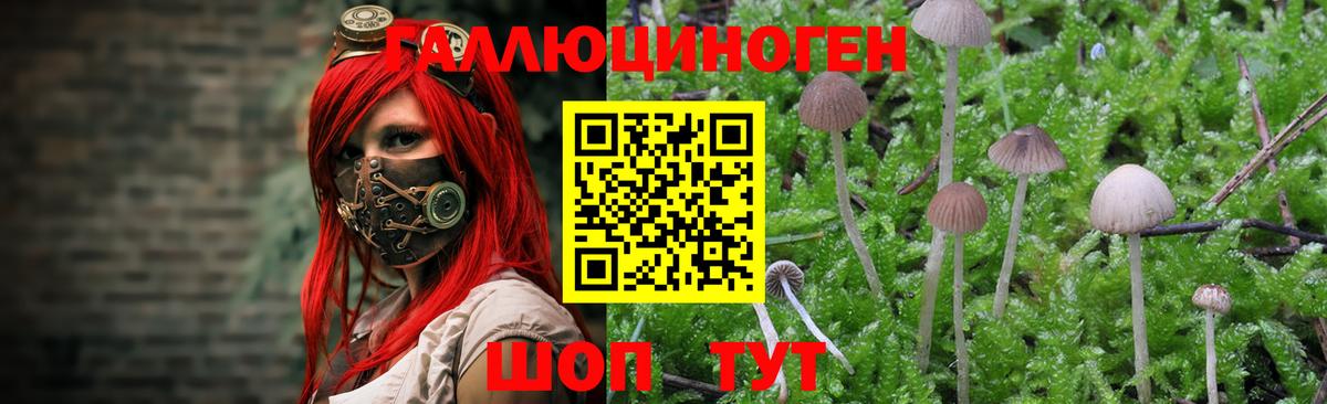 Псилоцибиновые грибы GOLDEN TEACHER  как найти наркотики  Серпухов 