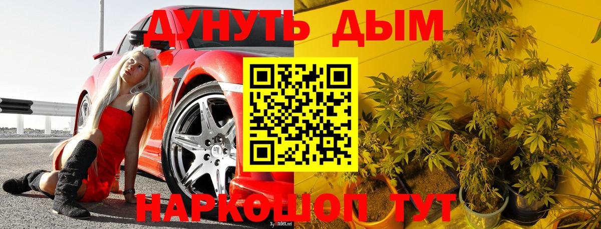 Канабис тримм  МАРИХУАНА планчик  Конопля план  Вход с VPN  Серпухов 